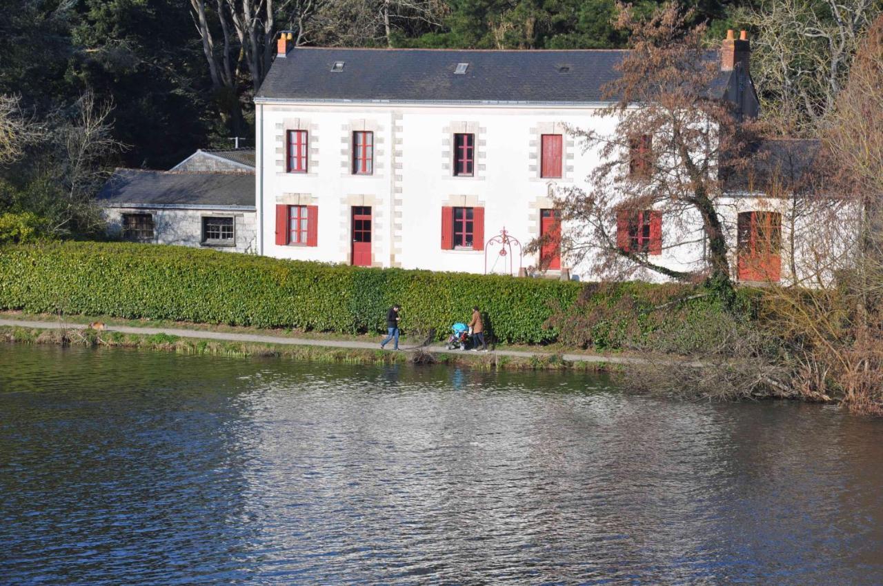 Grand Et Lumineux T2 A 2 Pas De La Riviere Erdre Et Proche Du Centre Appartement